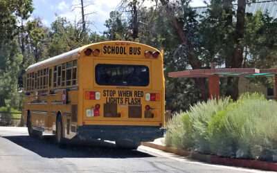 Fleet Maintenance Budgeting: How to Predict & Control Repair Costs